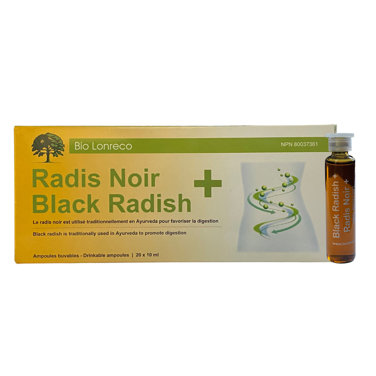 Radis Noir + (20x 10ml)