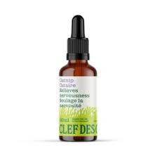 Catnip Tincture (50ml)