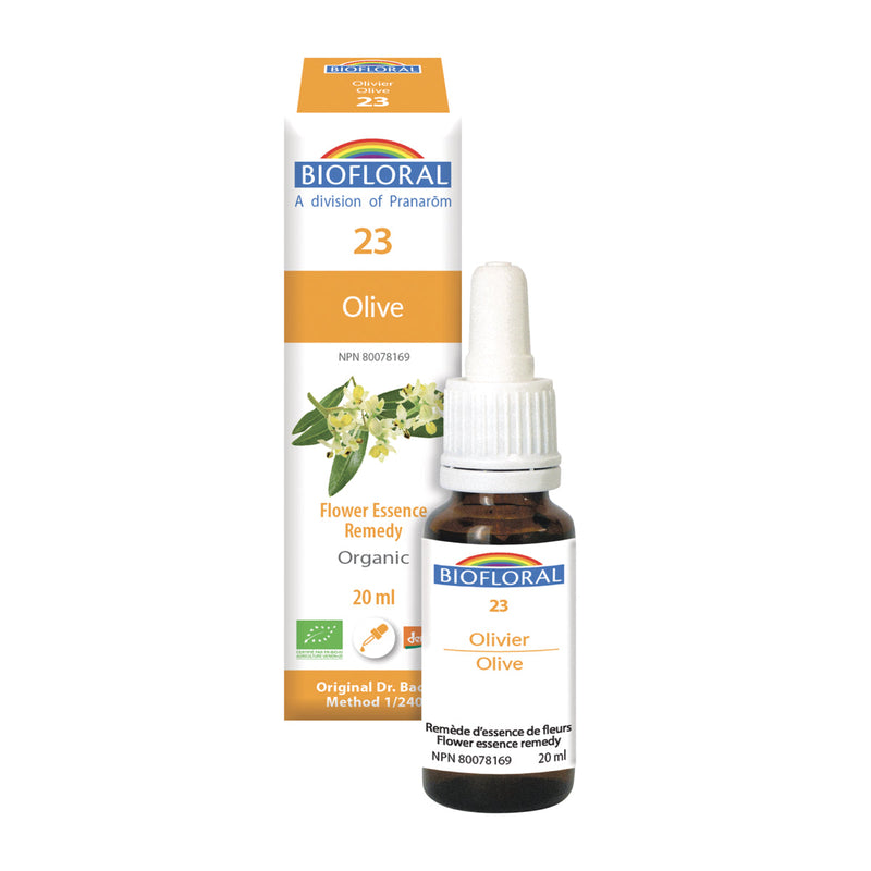 Olivier (20ml)