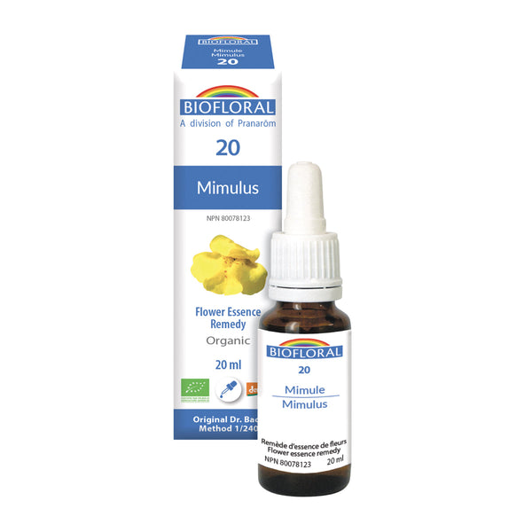 Mimule (20ml)