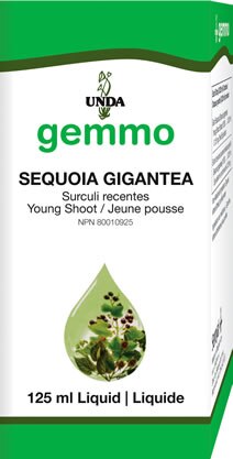 Sequoia Gigantea (125 Ml)