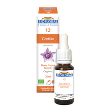 Gentiane (20ml)