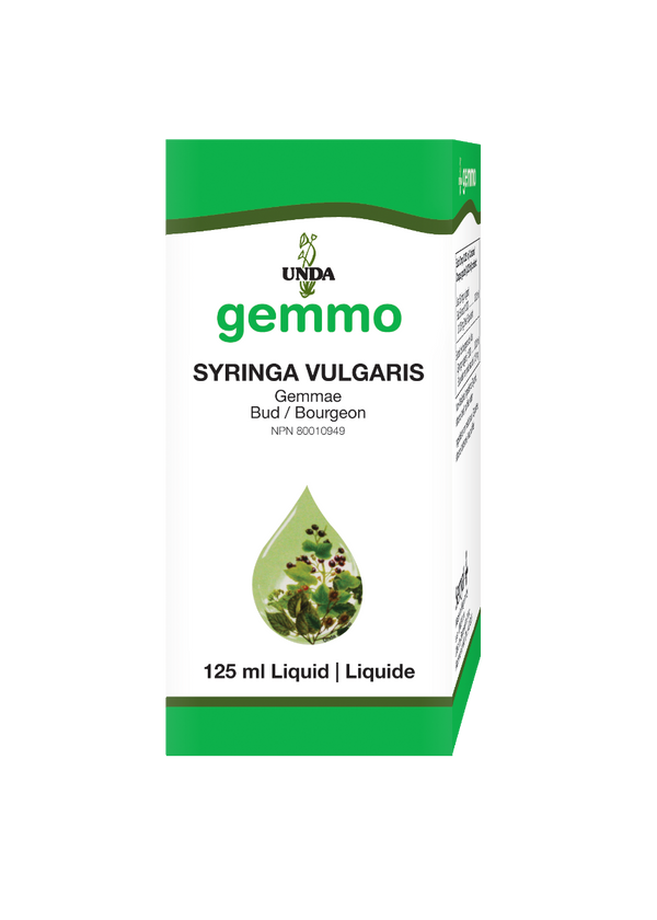 Syringa Vulgaris (125 Ml)