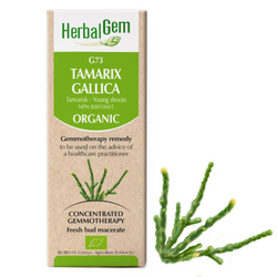 Tamarix Gallica (50ml)