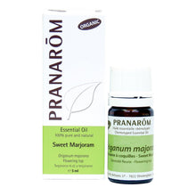 Marjolaine Coquilles (5ml)