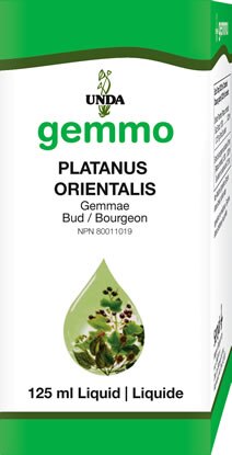 Platanus Orientalis (125 Ml)