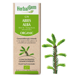 Abies Alba (50ml)