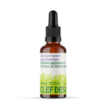 Motherwort Tincture (50ml)