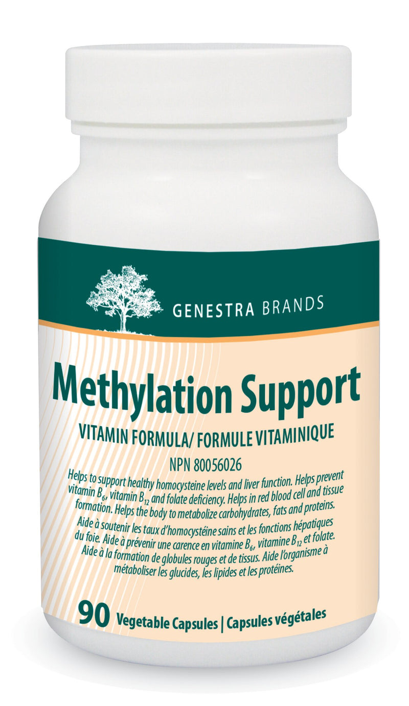 Methylation Support (90 Caps)