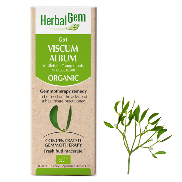 Viscum Album (50ml)