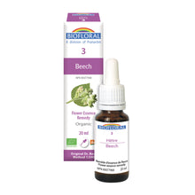 Hêtre (20ml)