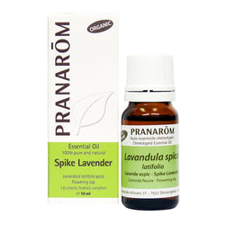 Lavande Aspic (10ml)