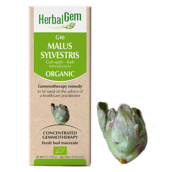 Malus Sylvestris (50ml)