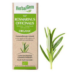 Rosmarinus Officinalis (15ml)