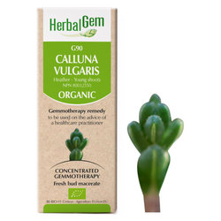 Calluna Vulgaris (50ml)