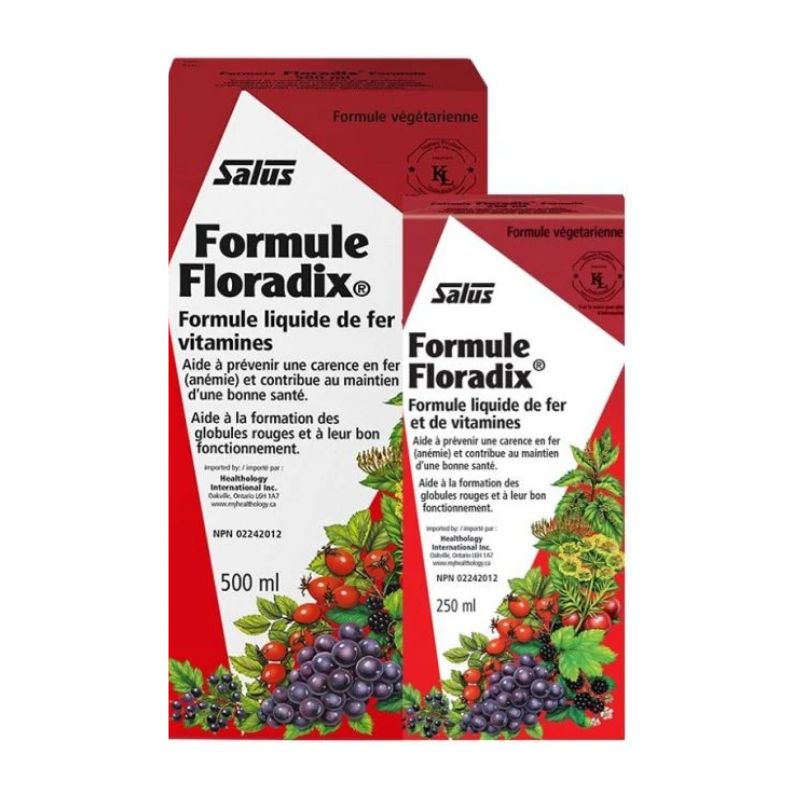 Duo Formule Floradix (500+250ml)