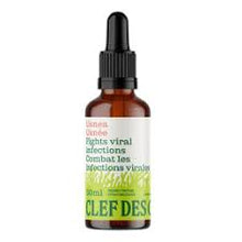 Usnea Tincture (50ml)