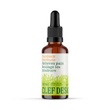 Burdock Tincture (50ml)