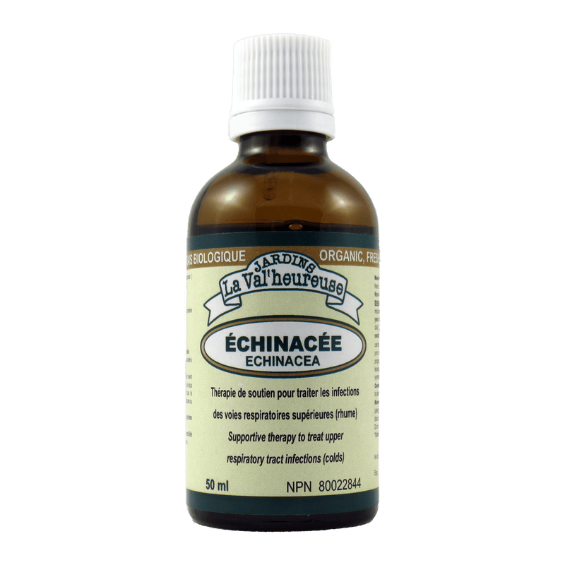 Échinacée (50ml)