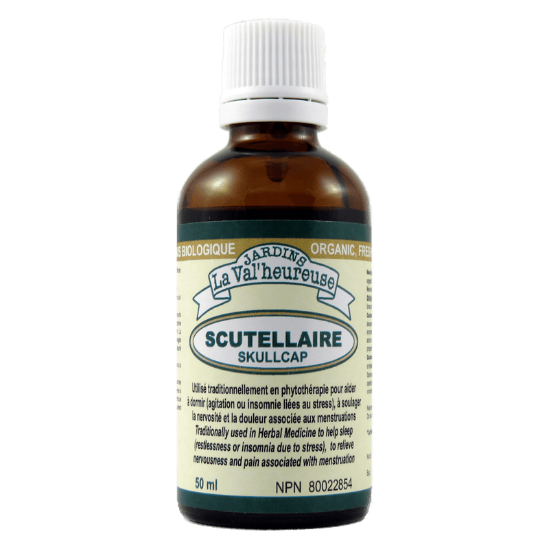 Scutellaire (50ml)