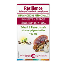 Résilience Mélange De Champignons (90 Cap)