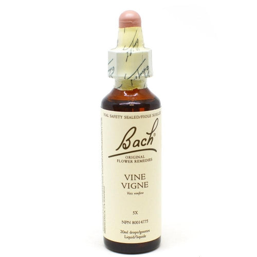 Fleur De Bach-vigne (20ml)