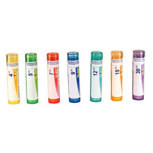 Actaea Spicata 9ch (80 Granules)