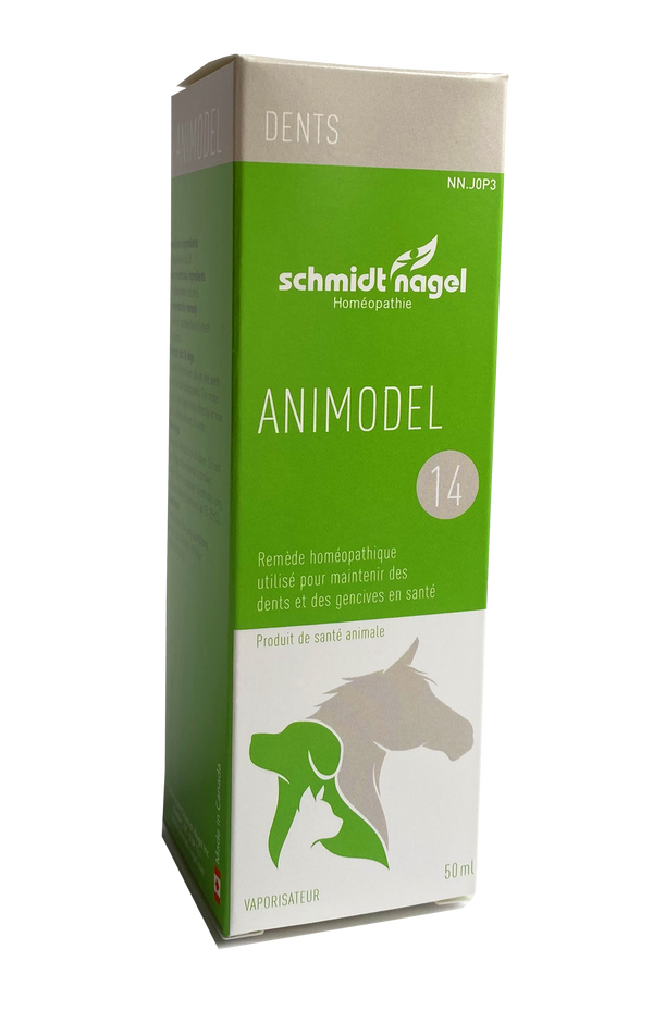 Animodel 14 (30ml)